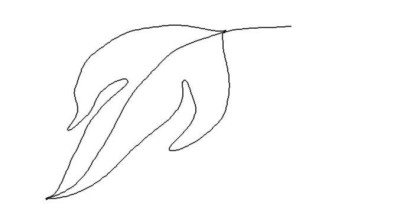 d-blatt.jpg