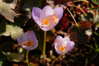 DSCF6887_3426.JPG