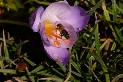 DSCF6890_3428.JPG