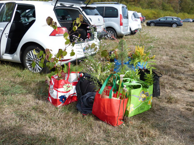 2018-10-06 Schoppenwihr 2.jpg