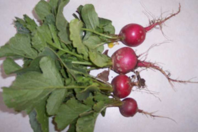 K640_100_3427.JPG