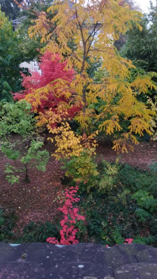 20181010_082031.jpg