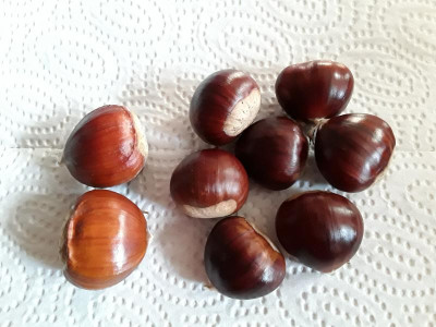20181010_155820.jpg