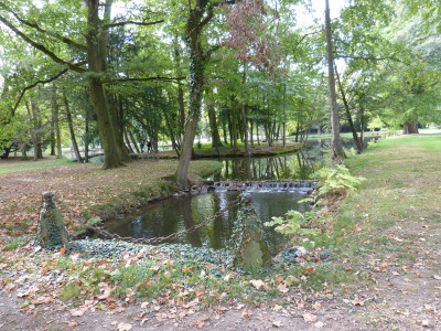 2018-10-06 Schoppenwihr 9.jpg
