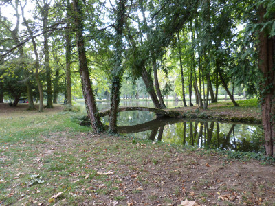 2018-10-06 Schoppenwihr 10.jpg