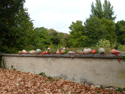 2018-10-06 Schoppenwihr 13.jpg