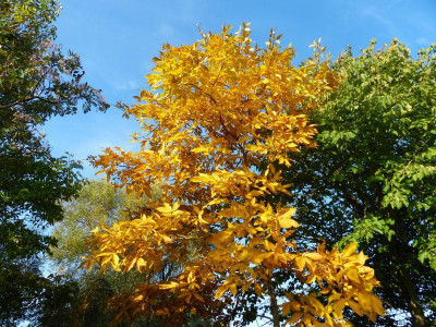 P1020425.JPG