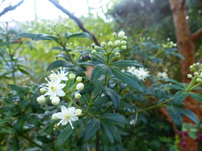 P1020427.JPG