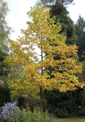 IMG_4787ß.jpg