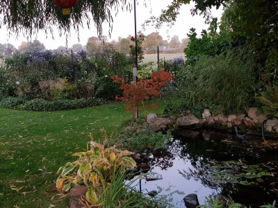 20181009_184032.jpg