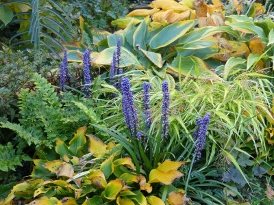 2018-10-11 Gartenimpressionen 1.jpg