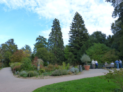 2018-10-06 Badenweiler 1.jpg