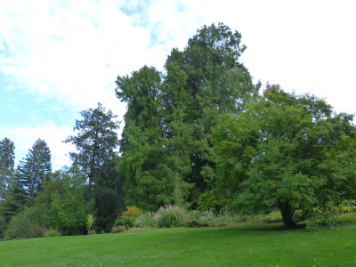 2018-10-06 Badenweiler 2.jpg