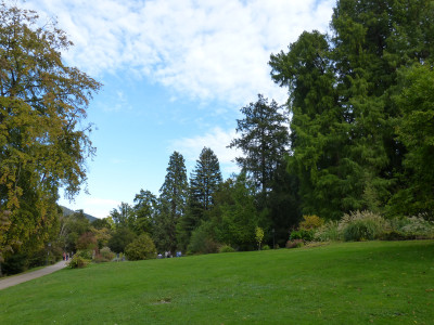 2018-10-06 Badenweiler 3.jpg