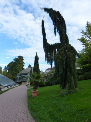 2018-10-06 Badenweiler 6.jpg