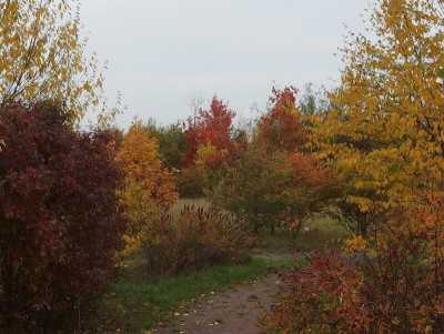 PA083368.JPG