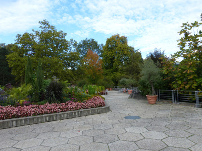 2018-10-06 Badenweiler 8.jpg