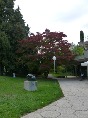 2018-10-06 Badenweiler 9.jpg