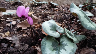 20181007_132046.jpg