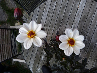 P1050319.JPG