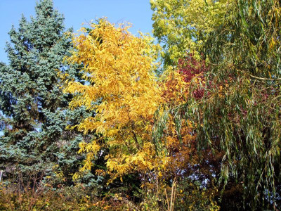 12.10.2018 20-48-59_7037.jpg