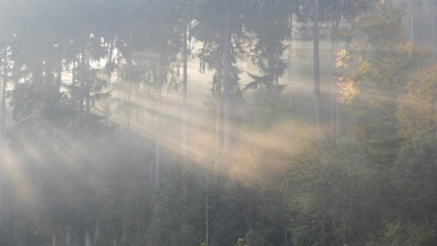 DSCN3820.JPG