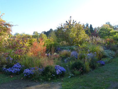 2018-10-13 Gartenimpressionen 6.jpg