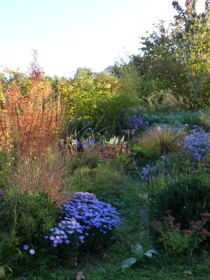 2018-10-13 Gartenimpressionen 7.jpg