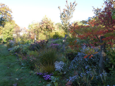 2018-10-13 Gartenimpressionen 8.jpg