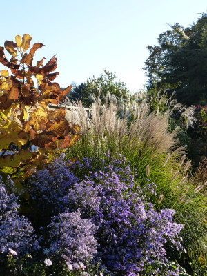 2018-10-13 Gartenimpressionen 1.jpg