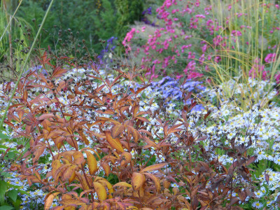 2018-10-13 Gartenimpressionen 3.jpg