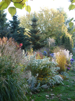 2018-10-13 Gartenimpressionen 9.jpg