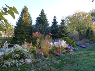 2018-10-13 Gartenimpressionen 10.jpg