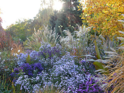 2018-10-13 Gartenimpressionen 11.jpg