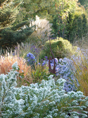 2018-10-13 Gartenimpressionen 15.jpg