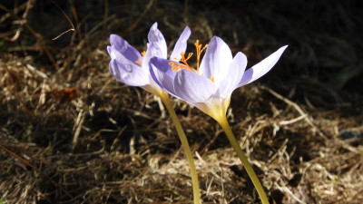 DSCN3835.JPG