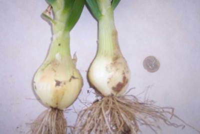 K640_100_3442.JPG