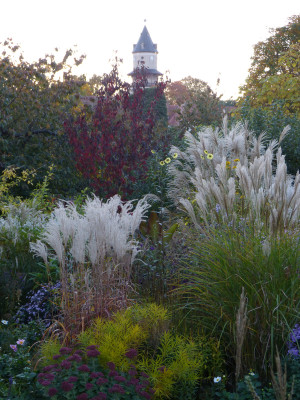 2018-10-13 Gartenimpressionen 22.jpg