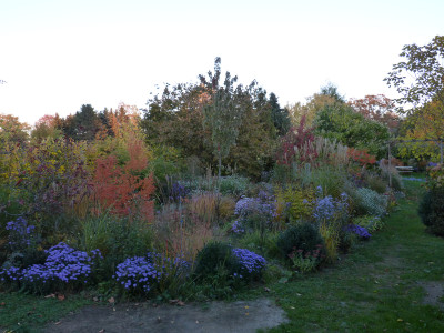 2018-10-13 Gartenimpressionen 17.jpg