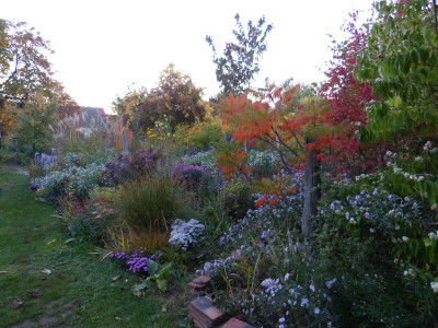 2018-10-13 Gartenimpressionen 23.jpg