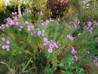 13.10.2018 20-17-39_7078.jpg