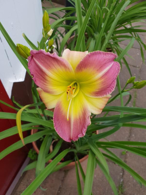 20180623_182014.jpg