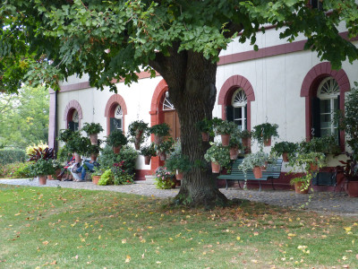 2018-10-07 Meriangärten 27.jpg