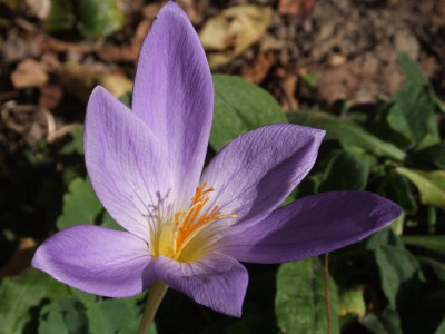 DSCF5671.JPG