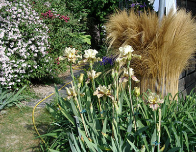 Imgp1005-Thorn-gruppe.jpg