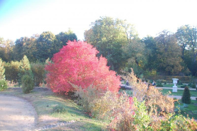 DSC_3998.JPG