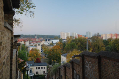 DSC_4033.JPG