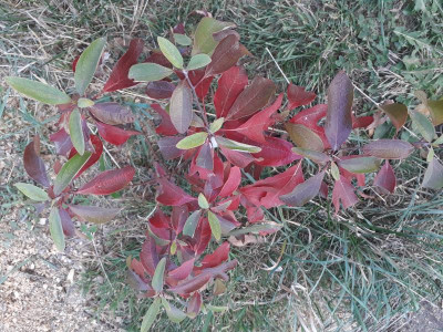 20181016_162255.jpg