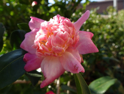 DSC06044.jpg