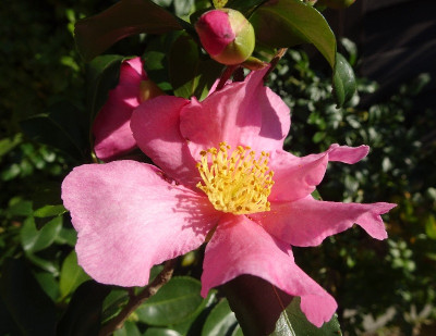 DSC06048.jpg
